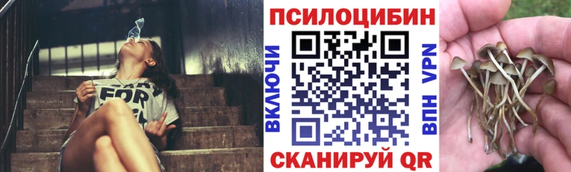 Галлюциногенные грибы ЛСД Кропоткин