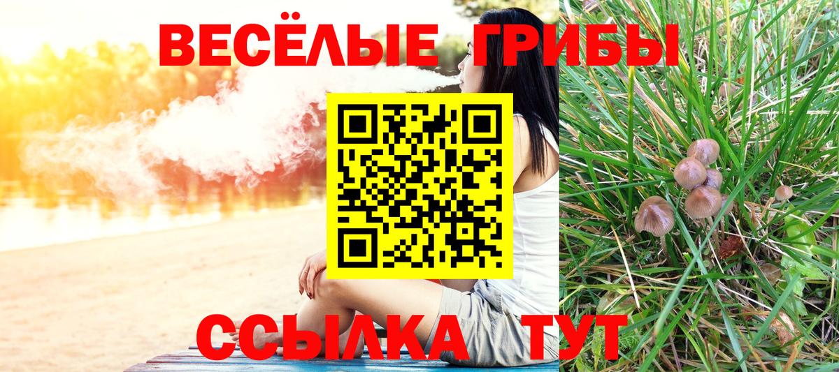 Псилоцибиновые грибы мухоморы Кропоткин