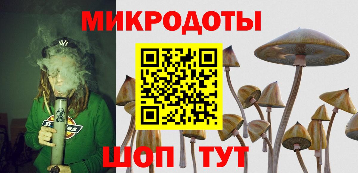 Псилоцибиновые грибы MAGIC MUSHROOMS  Галлюциногенные грибы прущие грибы  Вход с VPN  Кропоткин 