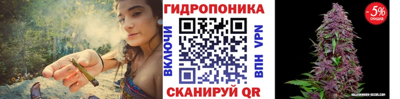 Конопля конопля  Кропоткин 